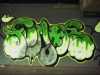 [thumbnail of Picture 14]