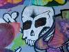 [thumbnail of Picture 8]