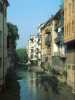 [thumbnail of Picture 7]
