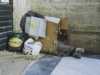 [thumbnail of Picture 3]