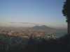 [thumbnail of Picture 7]