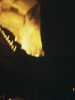 [thumbnail of Picture 25]