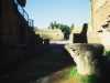[thumbnail of Picture 1]