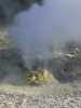 [thumbnail of Picture 13]