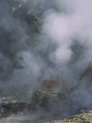 ImageImage0051.web.jpg
