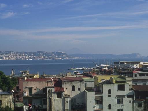 ImageImage0063.web.jpg