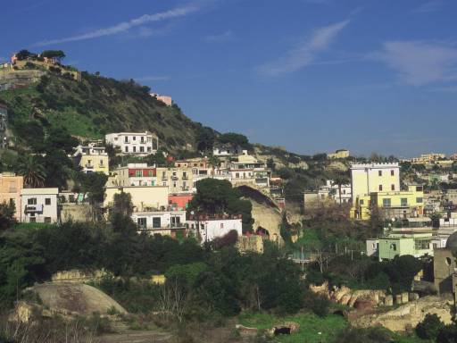 ImageImage0064.web.jpg