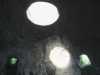 [thumbnail of Picture 32]