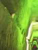 [thumbnail of Picture 35]