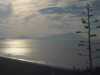 [thumbnail of Picture 2]