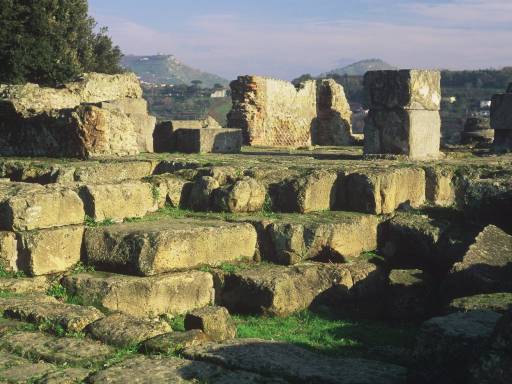 ImageImage0077.web.jpg
