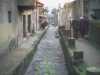 [thumbnail of Picture 7]