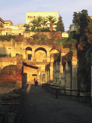 ImageImage0084.web.jpg