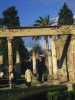 [thumbnail of Picture 27]