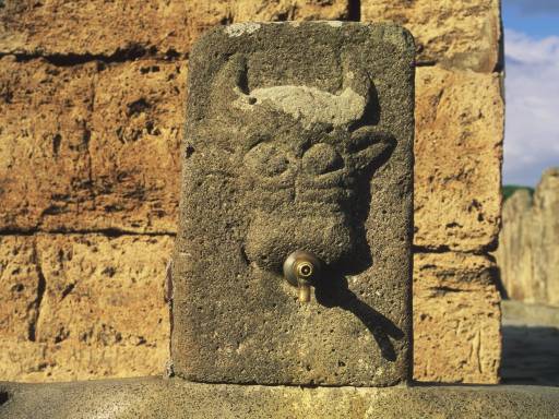 ImageImage0105.web.jpg