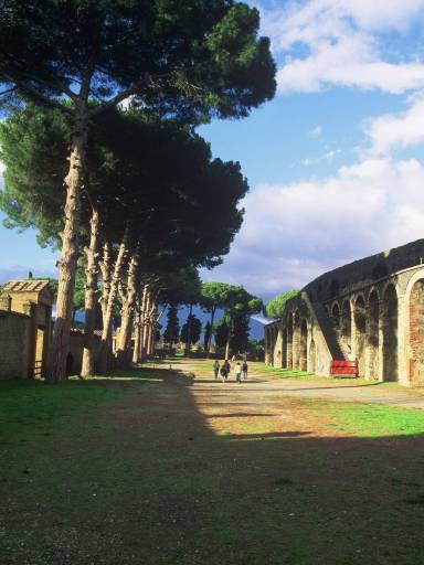 ImageImage0005.web.jpg