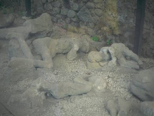 ImageImage0009.web.jpg