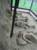 [thumbnail of Picture 10]