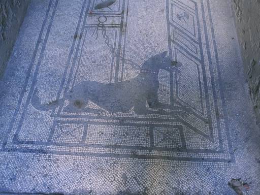 ImageImage0011.web.jpg