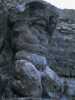 [thumbnail of Picture 18]