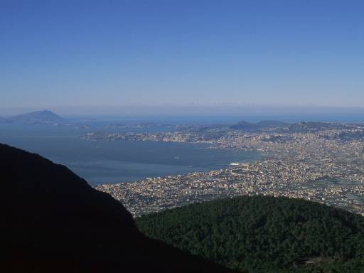 ImageImage0032.web.jpg