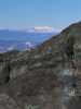[thumbnail of Picture 10]