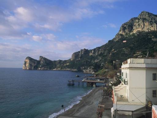 ImageImage0056.web.jpg