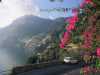[thumbnail of Picture 32]