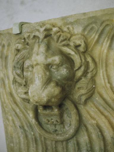 ImageImage0082.web.jpg