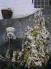 [thumbnail of Picture 13]