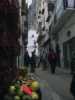 [thumbnail of Picture 14]