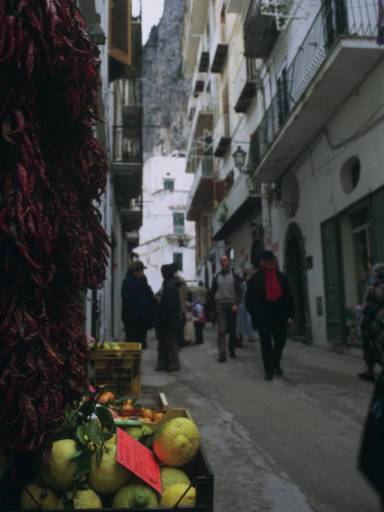 ImageImage0088.web.jpg