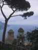 [thumbnail of Picture 22]