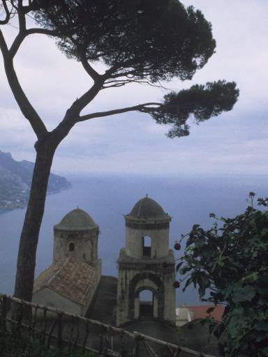 ImageImage0096.web.jpg