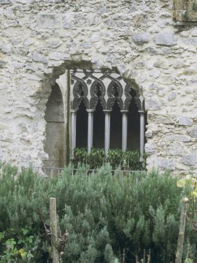 ImageImage0099.web.jpg