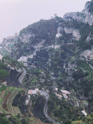ImageImage0106.web.jpg