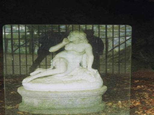 ImageImage0113.web.jpg
