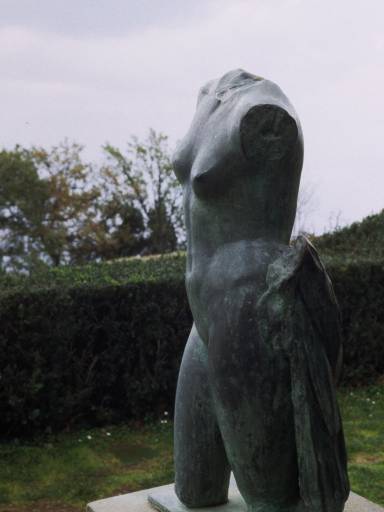 ImageImage0116.web.jpg