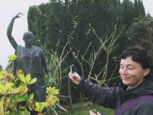 ImageImage0121.web.jpg