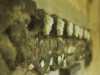 [thumbnail of Picture 12]