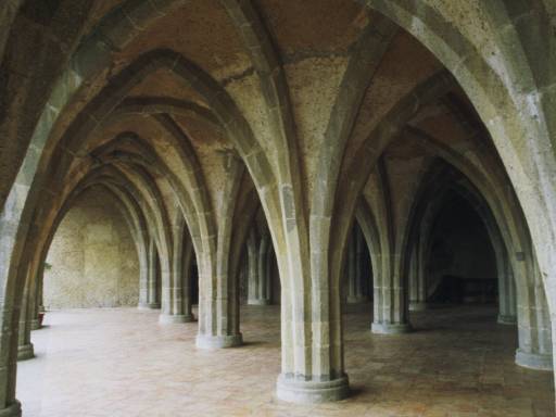 ImageImage0127.web.jpg