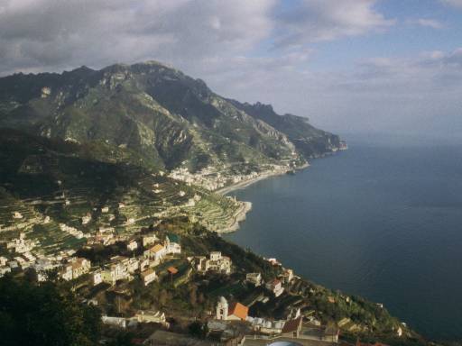ImageImage0131.web.jpg