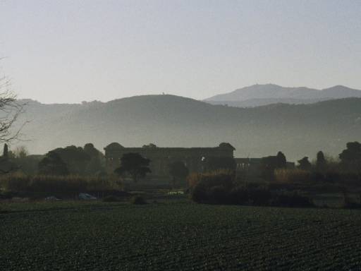 ImageImage0137.web.jpg