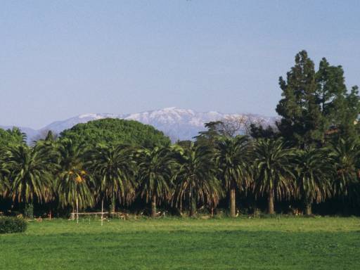 ImageImage0141.web.jpg