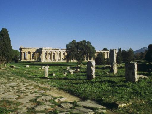ImageImage0144.web.jpg