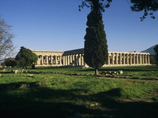 ImageImage0145.web.jpg