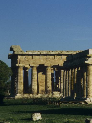 ImageImage0147.web.jpg
