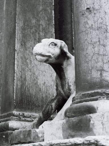 ImageImage0003.web.jpg