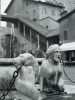 [thumbnail of Picture 17]