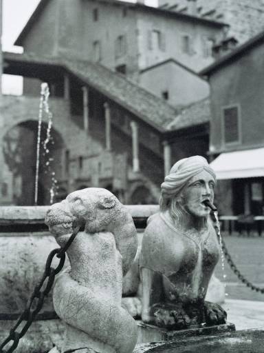ImageImage0018.web.jpg
